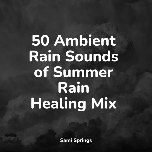 50 Ambient Rain Sounds of Summer Rain Healing Mix - Album by Smart Baby ...