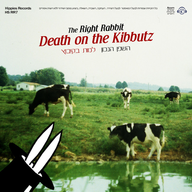 The Right Rabbit - השפן הנכון