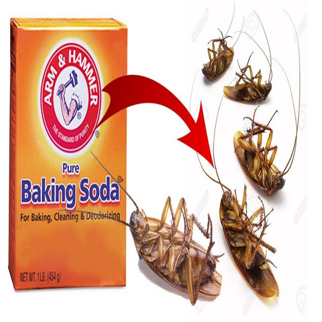 Arm & Hammer cover art