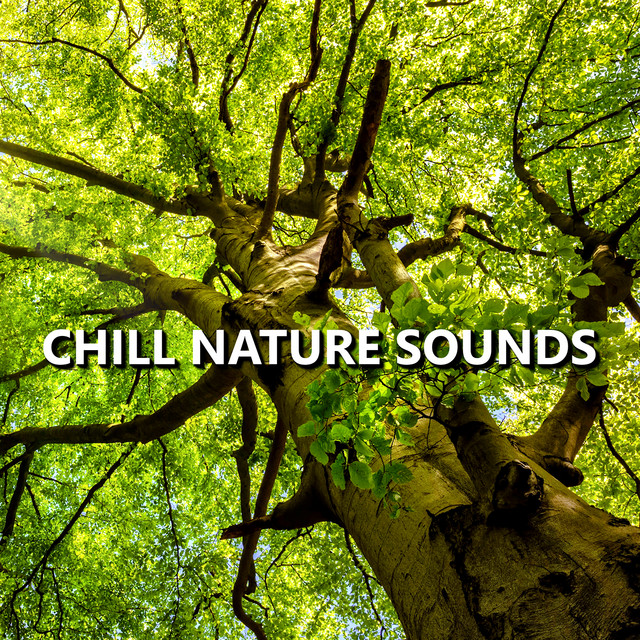 Chill Nature Sounds cover art