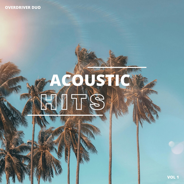 Acoustic Hits, Vol. 1 cover art