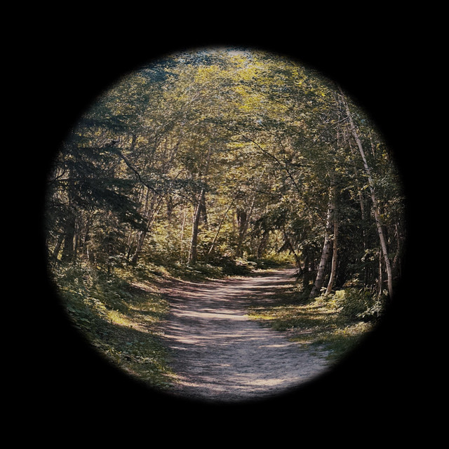 looking glass