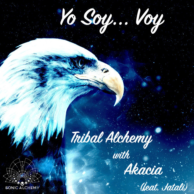 Yo Soy... Voy cover