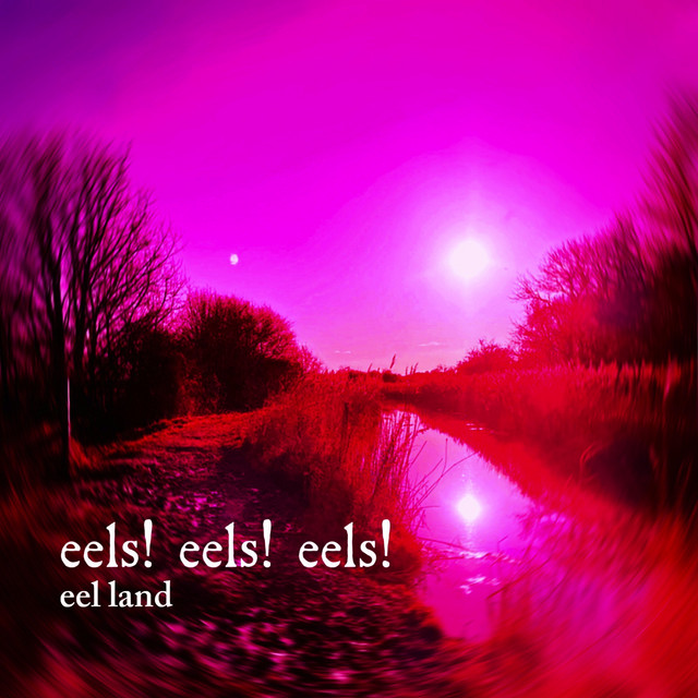 Eel Land cover art