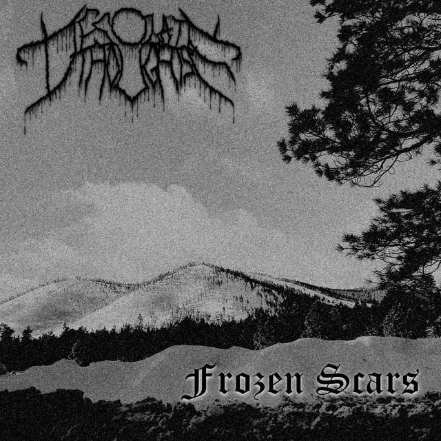 Обкладинка: Frozen Scars — Desolate Thoughts