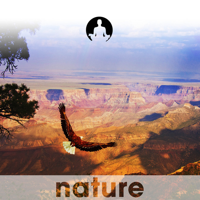 American Scenery cover art