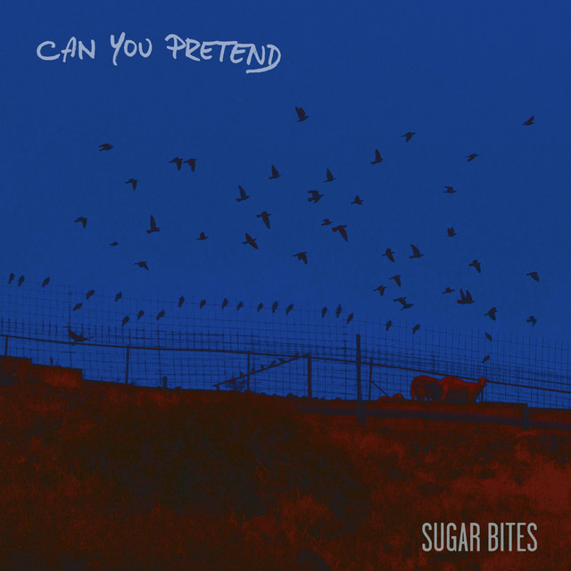 Can You Pretend cover art