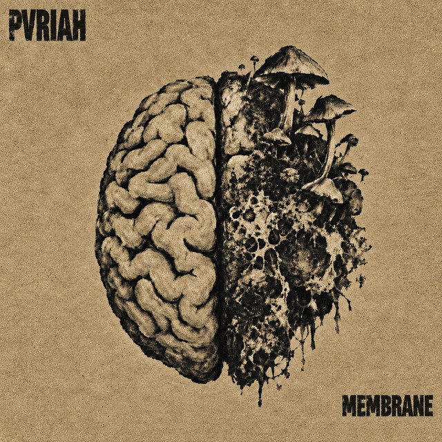 PVRIAH — Membrane album art