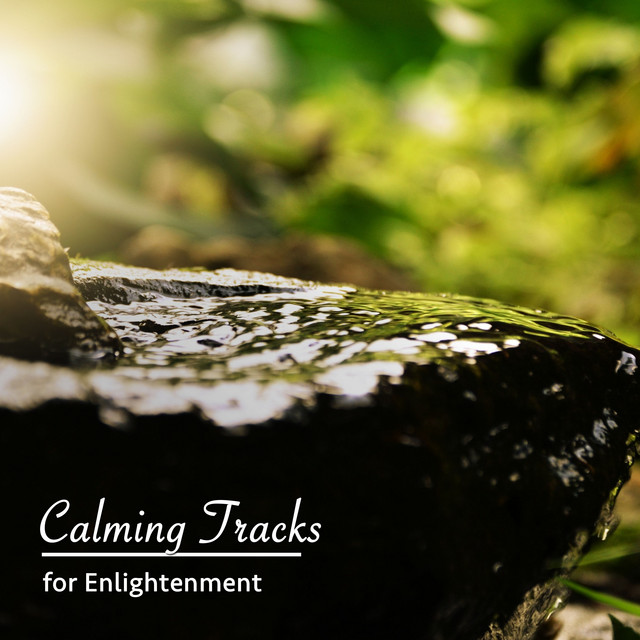 11 Blissful Tracks to Clear your Mind cover art