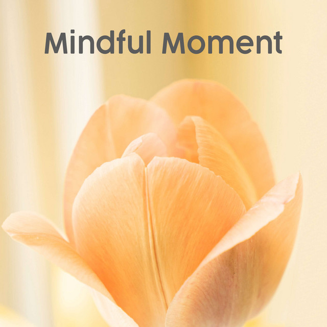 Mindful Moment