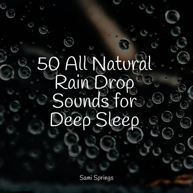 50 All Natural Rain Drop Sounds for Deep Sleep - Album by Rain Makers ...