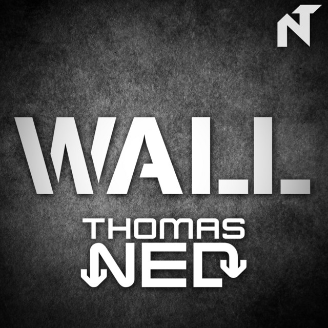 Wall cover art