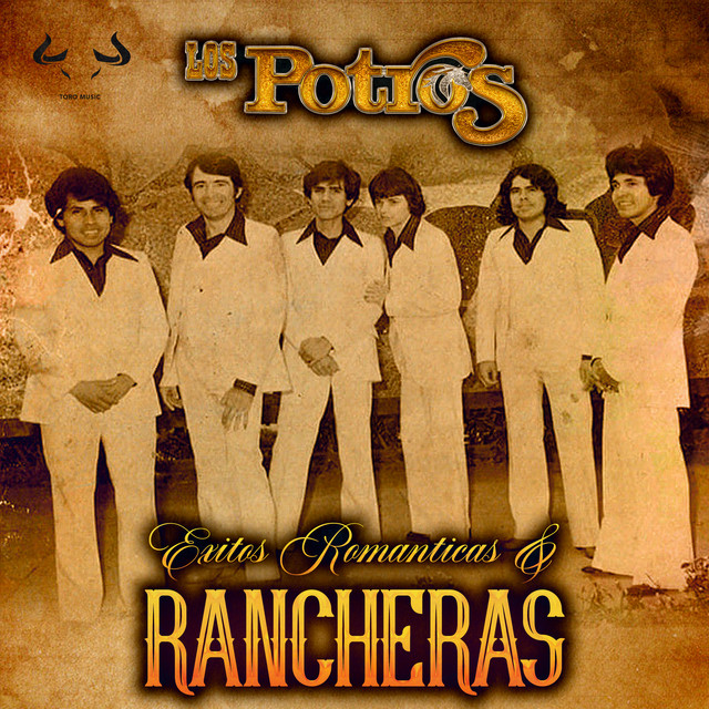 Exitos Románticas & Rancheras cover art