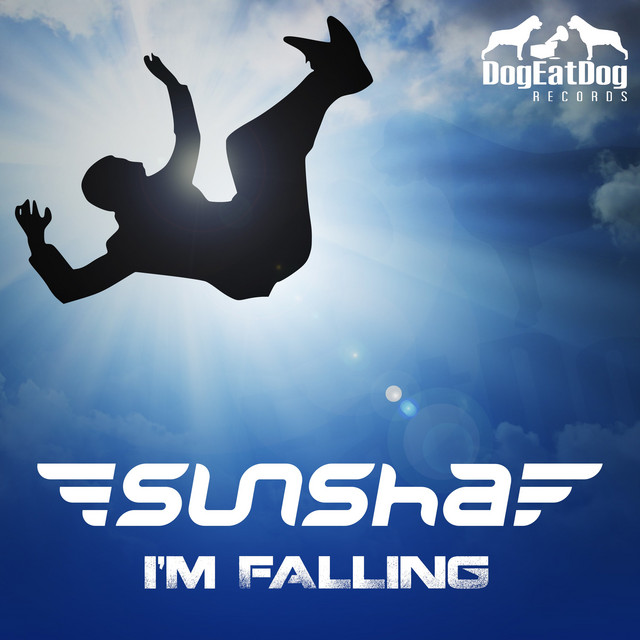 I'm Falling album art