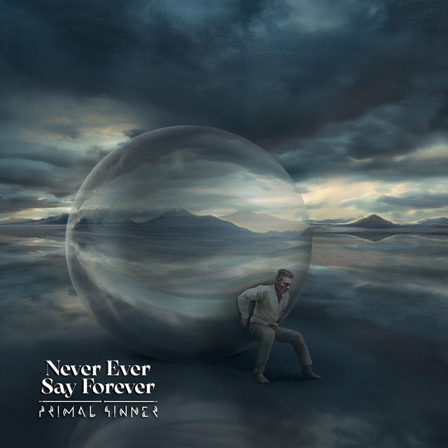 Never Ever Say Forever
