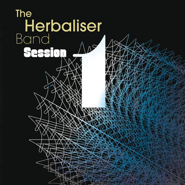 The Herbaliser Band photo