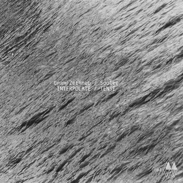 Interpolate - Original Mix cover art