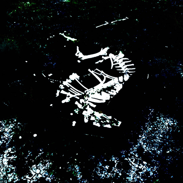 backbone cover art
