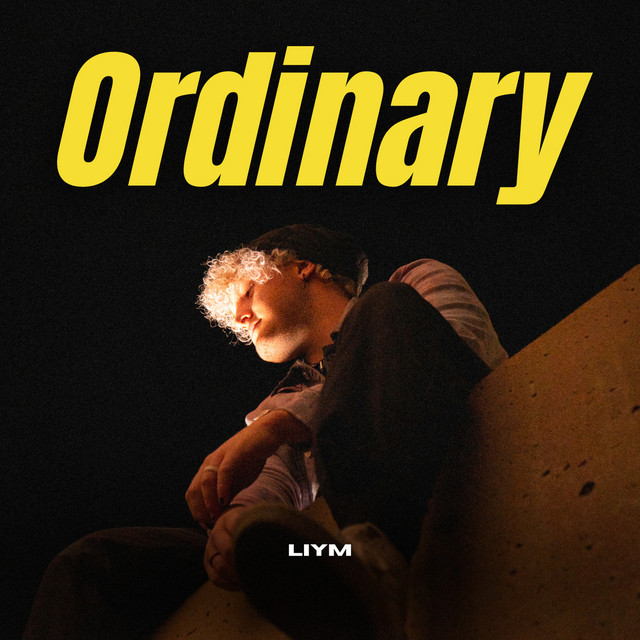 Ordinary cover art