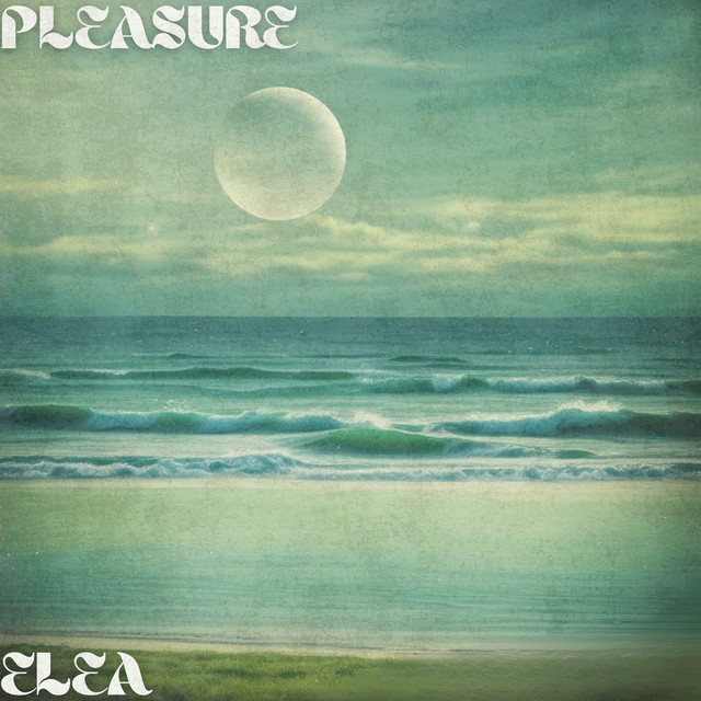 Pleasure cover art