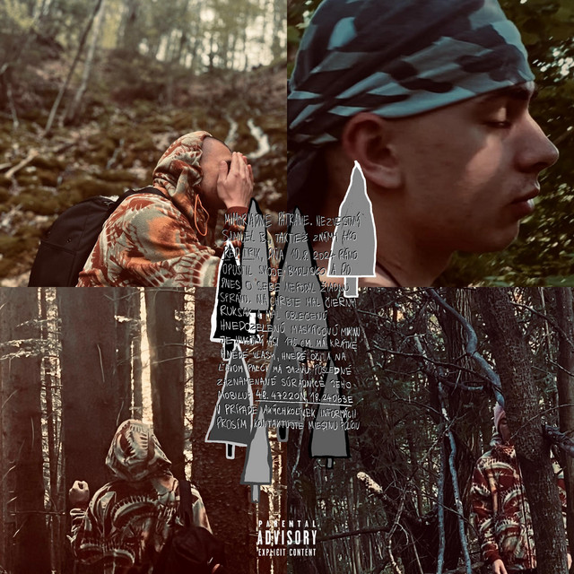 Medzi Stromami cover art