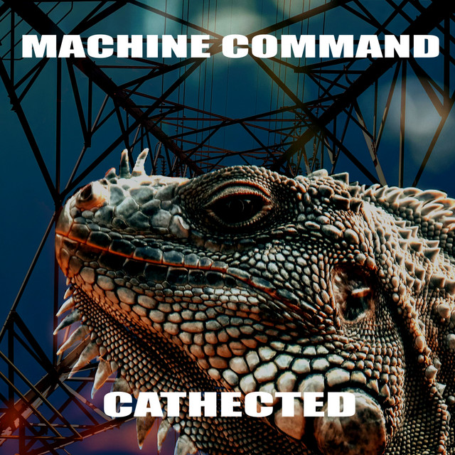 Cathected cover art