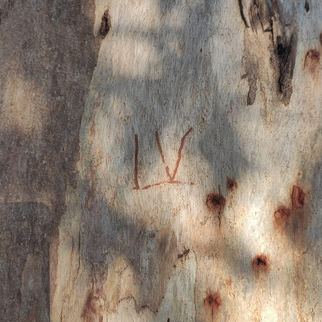 LV I cover art