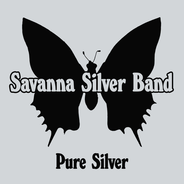 Savanna Silver Band image