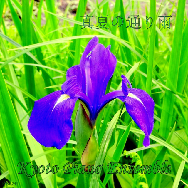 真夏の通り雨 Inst Version Song By Kyoto Piano Ensemble Spotify