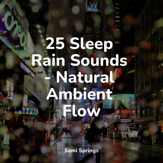 25 Sleep Rain Sounds - Natural Ambient Flow - Album by The White Noise ...