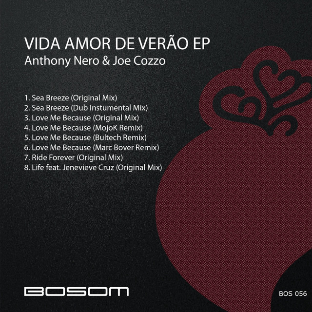 Vida Amor De Verão cover art