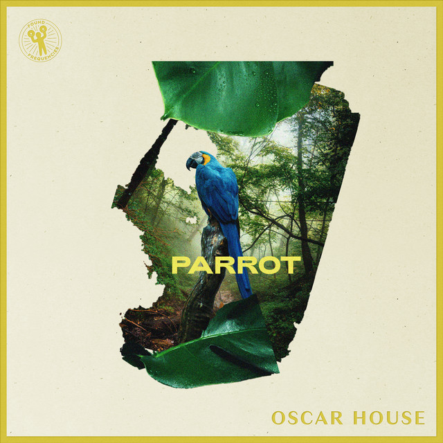 Parrot - Extended Mix album art