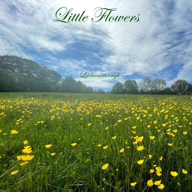 Little Flowers In The Rain (Instrumental Version) cover art