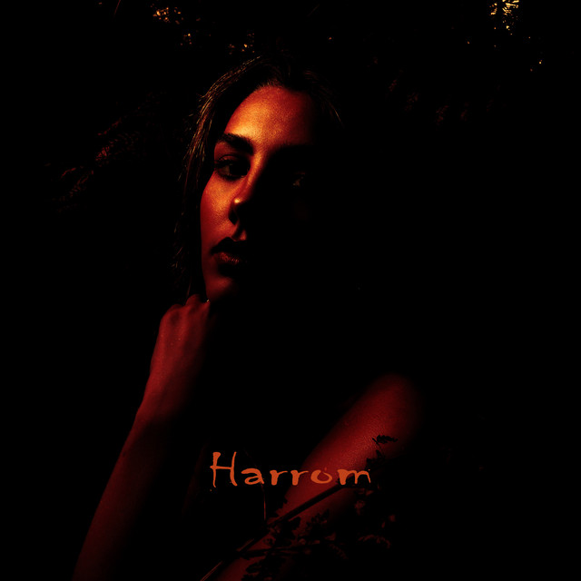 Harrom - Single by Roart | Spotify