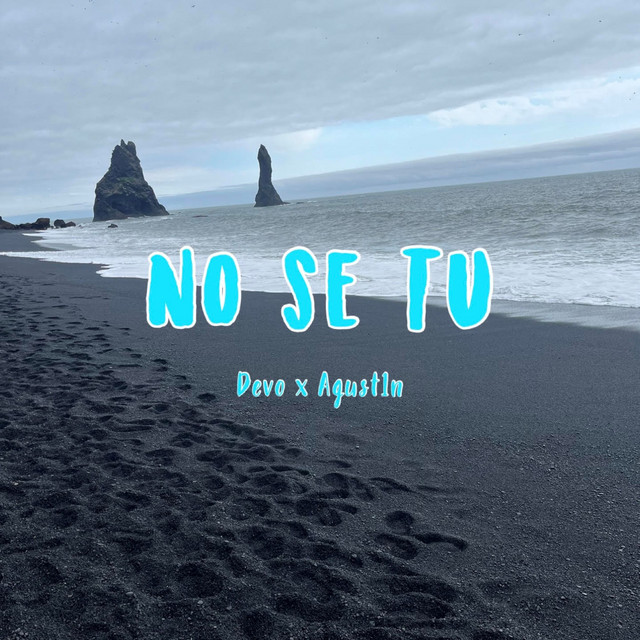 No Se Tu cover art