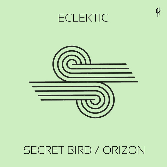 Secret Bird - Denny Loco Remix album art