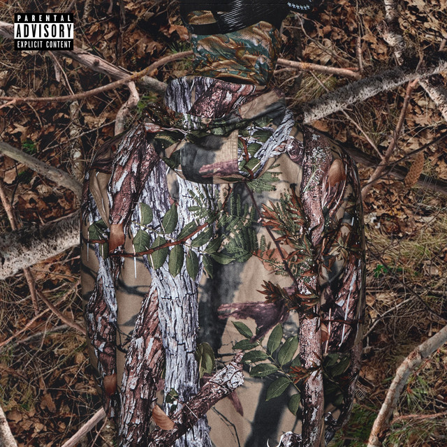 How To Fish cover art