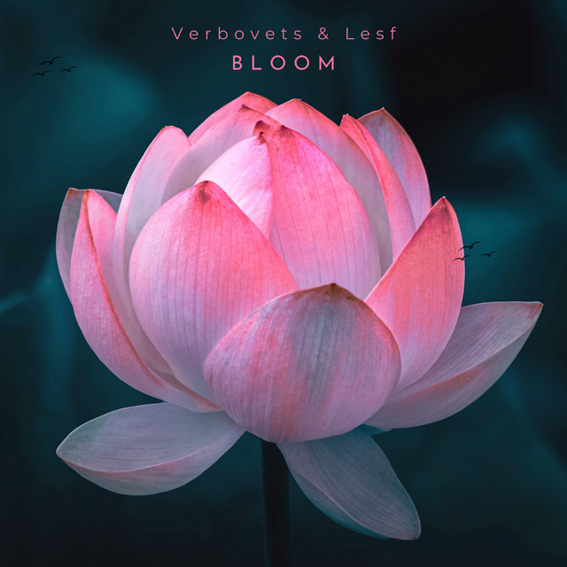 Обкладинка: Bloom — Lesfm
