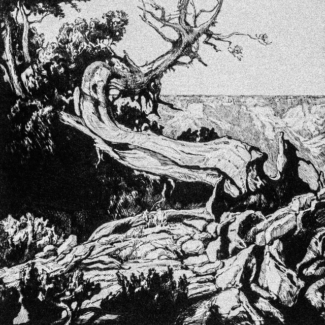 Dweller cover art