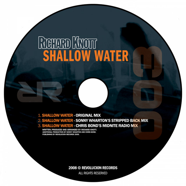 Shallow Water - Original Mix cover art