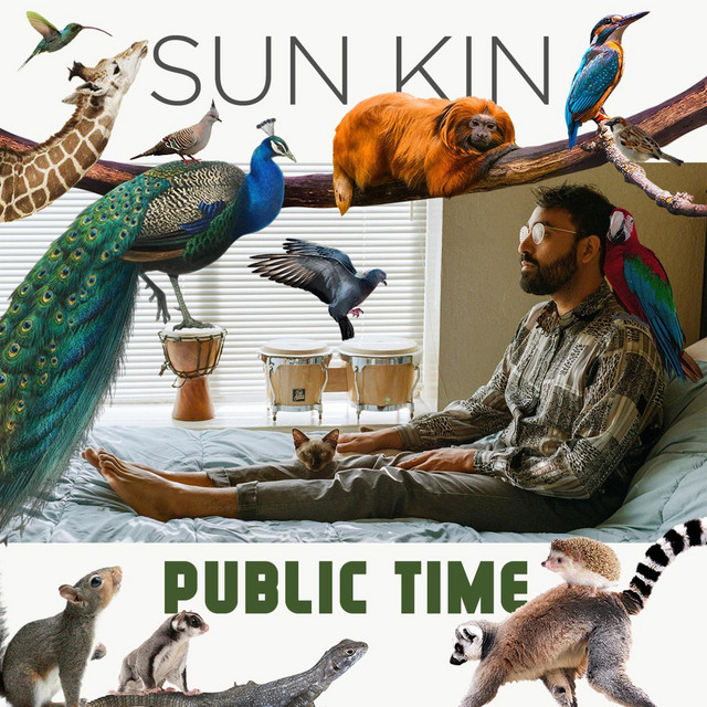 Public Time cover art