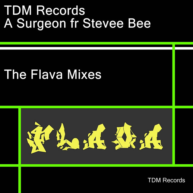 The Flava Mixes - Stevee Bee Remixs (feat. Stevee Bee) cover art