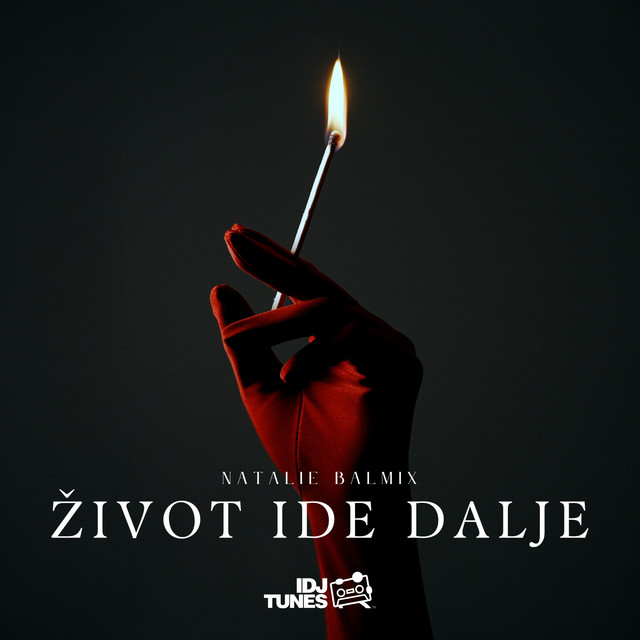 Život Ide Dalje (Žigica) cover art