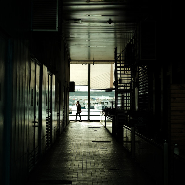 Magnetic Fields cover art