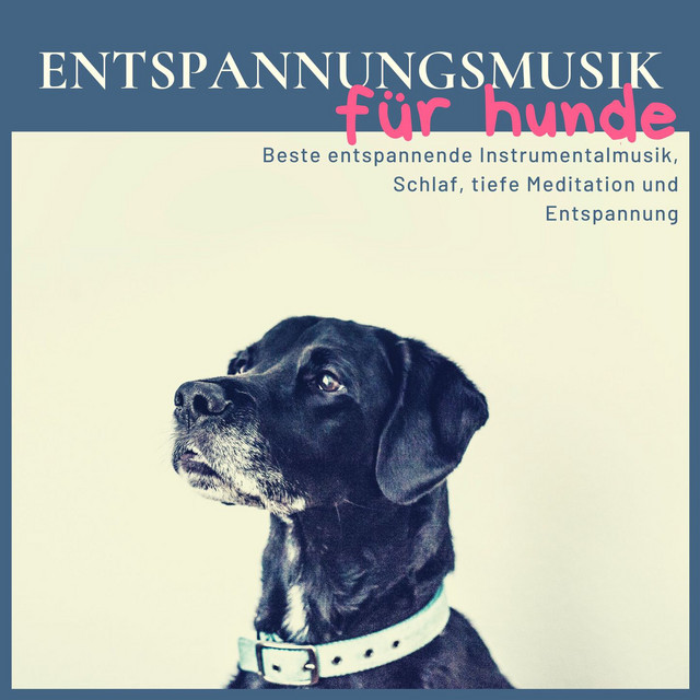 Entspannungsmusik für Hunde: Beste entspannende Instrumentalmusik, Schlaf, tiefe Meditation und Entspannung cover art