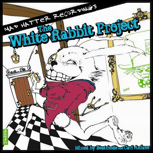 The White Rabbit Project