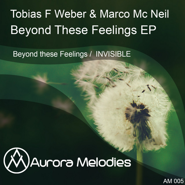 Обкладинка: Beyond These Feelings - Original Mix — Tobias F Weber