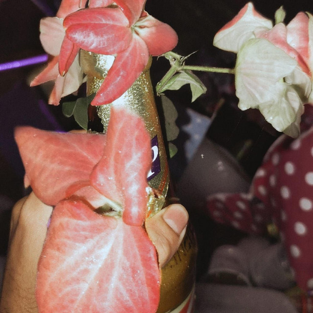 Phool cover art