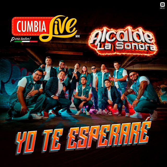 Yo Te Esperaré album image