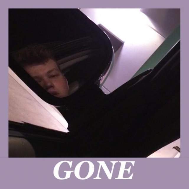 Gone cover art